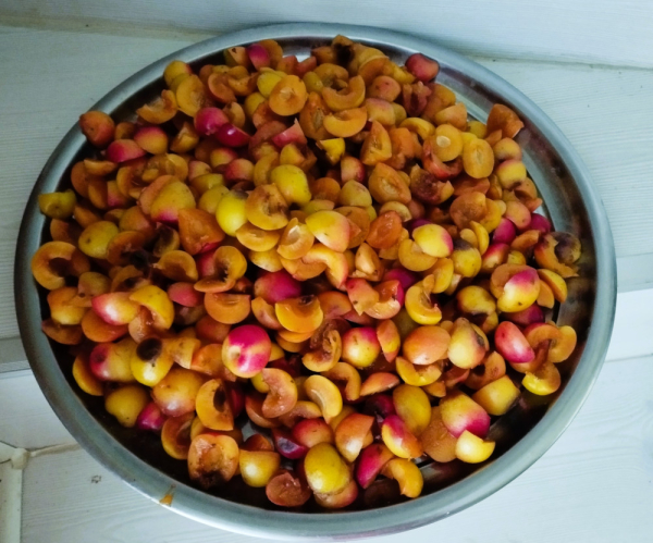 Yabani Ekşi Erik Kurusu (Dağ Eriği) (50 gr) - Görsel 5